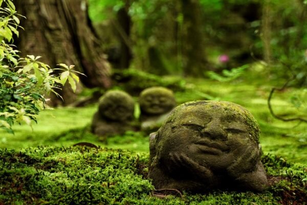 The Role of Nature and Spirituality in Japanese Films